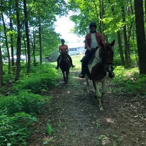 Meet your Posher, Tony